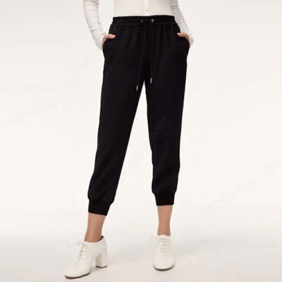 Aritzia Pants - Aritzia Wilfred Buffon Black Elastic Waist Crepe Jogger Style Pants